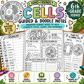 Cells Guided & Doodle Notes | 6th Grade Science | ADHD-Friendly Worksheets